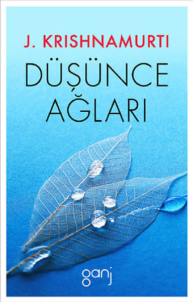 Düşünce Ağları-zoom-