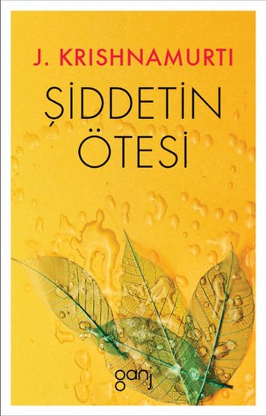 Şiddetin Ötesi-zoom-