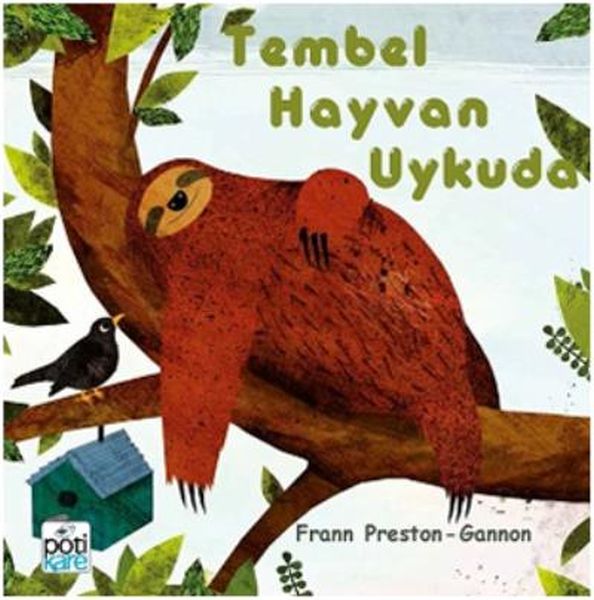 Tembel Hayvan Uykuda-zoom-
