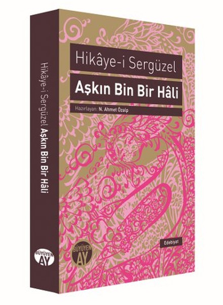 Hikaye-i Sergüzel Aşkın Bin Bir Hali-zoom-