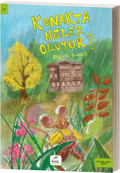 Konakta Neler Oluyor?-zoom-