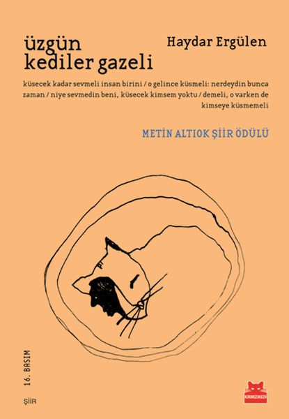 Üzgün Kediler Gazeli-zoom-