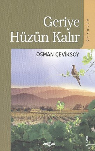 Geriye Hüzün Kalır-zoom-