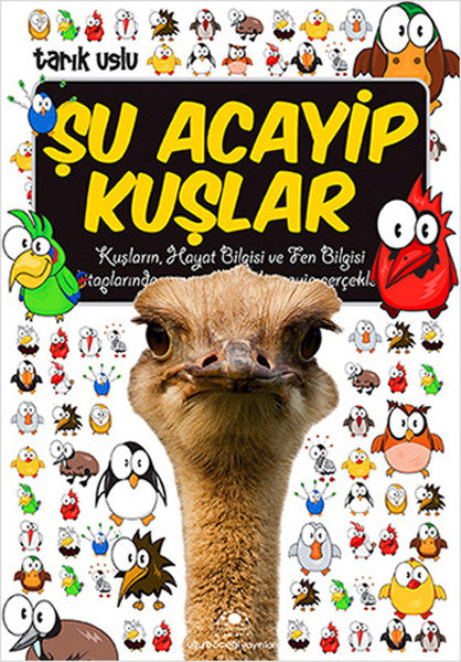 Şu Acayip Kuşlar-zoom-