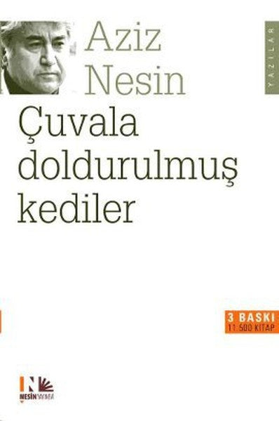Çuvala Doldurulmuş Kediler-zoom-