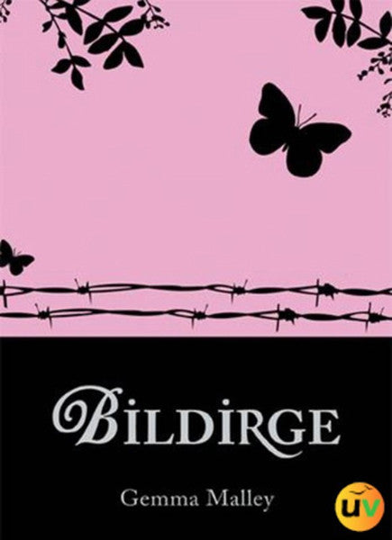 Bildirge-zoom-