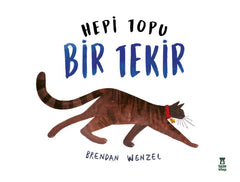 Hepi Topu Bir Tekir