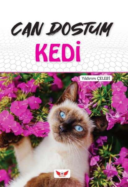 Can Dostum Kedi-zoom-