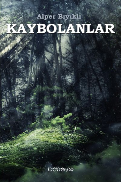 Kaybolanlar-zoom-