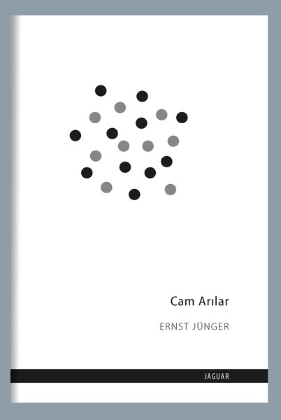 Cam Arılar-zoom-