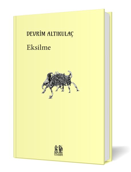 Eksilme-zoom-