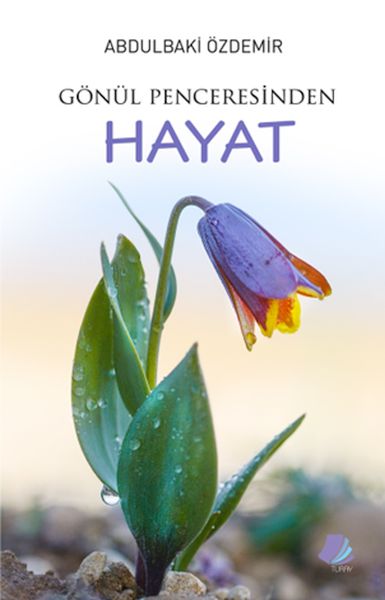 Gönül Penceresinden Hayat-zoom-