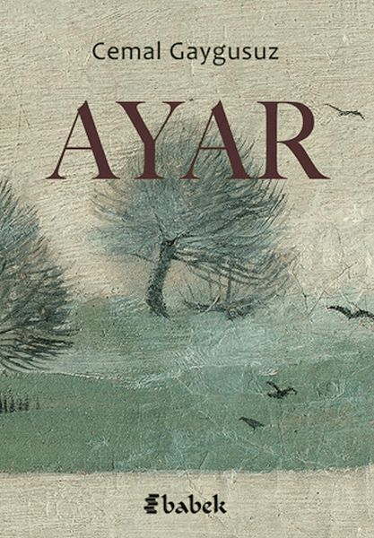 Ayar-zoom-