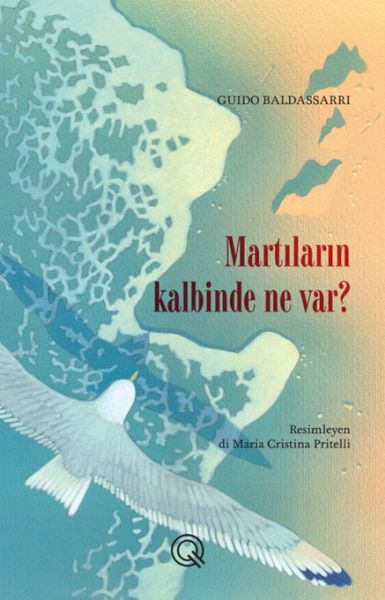 Martıların Kalbinde Ne Var?-zoom-