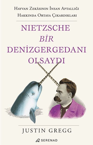 Nietzsche Bir Denizgergedanı Olsaydı-zoom-