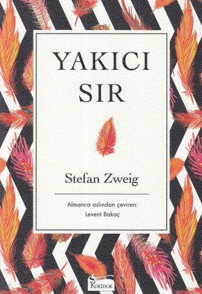 Yakıcı Sır - Ciltsiz-zoom-