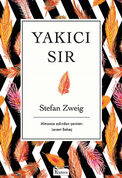 Yakıcı Sır (Bez Ciltli)-zoom-