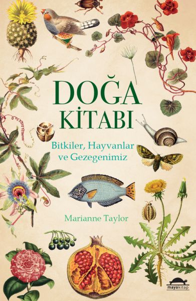 Doğa Kitabı - Bitkiler, Hayvanlar ve Gezegenimiz-zoom-