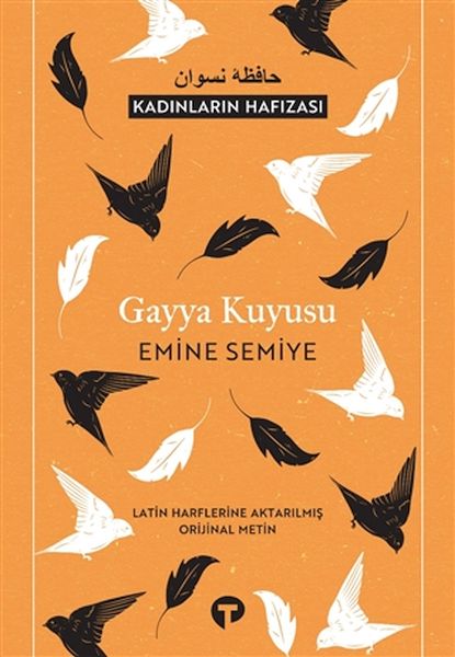 Gayya Kuyusu (Latin Harflerine Aktarılmış Orijinal-zoom-