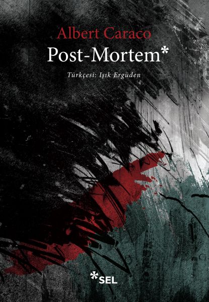Post-Mortem-zoom-
