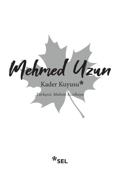 Kader Kuyusu-zoom-