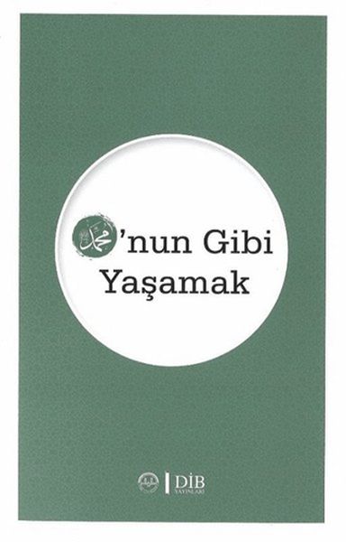 O'nun Gibi Yaşamak-zoom-