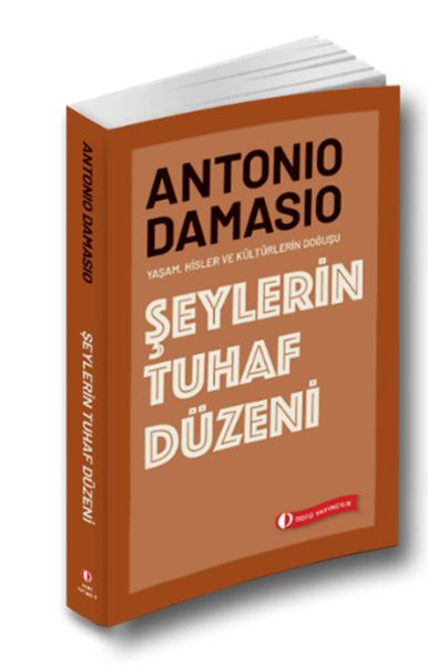 Şeylerin Tuhaf Düzeni-zoom-