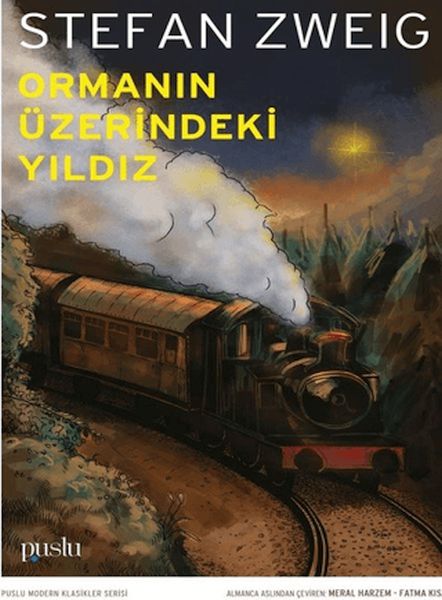 Ormanın Üzerindeki Yıldız-zoom-