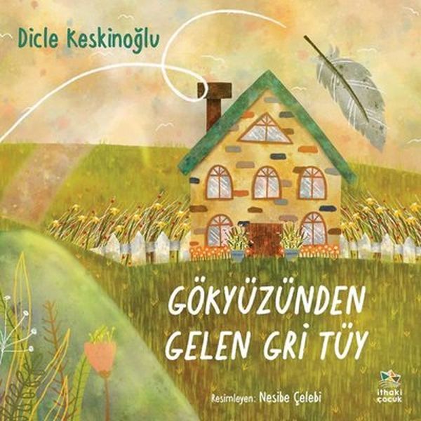 Gökyüzünden Gelen Gri Tüy-zoom-