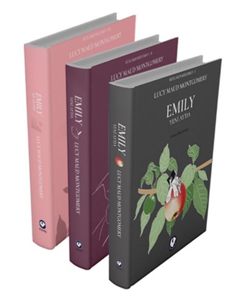 Rüzgârın Kızı Emily Serisi (3 Kitap)-zoom-