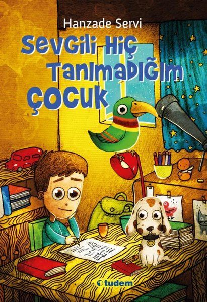 Sevgili Hiç Tanımadığım Çocuk-zoom-