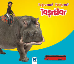 Taşıtlar / Doğru mu? Yanlış mı?