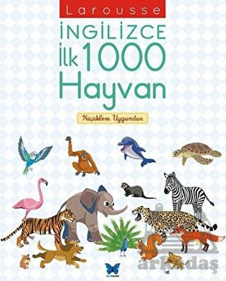 Larousse İngilizce İlk 1000 Hayvan-zoom-