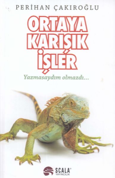 Ortaya Karışık İşler-zoom-