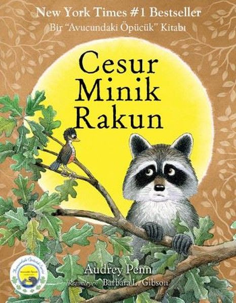 Cesur Minik Rakun-zoom-