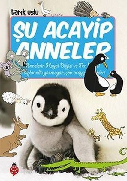 Şu Acayip Anneler-zoom-