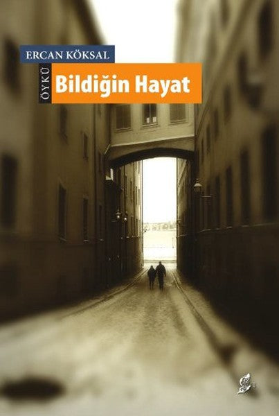 Bildiğin Hayat-zoom-