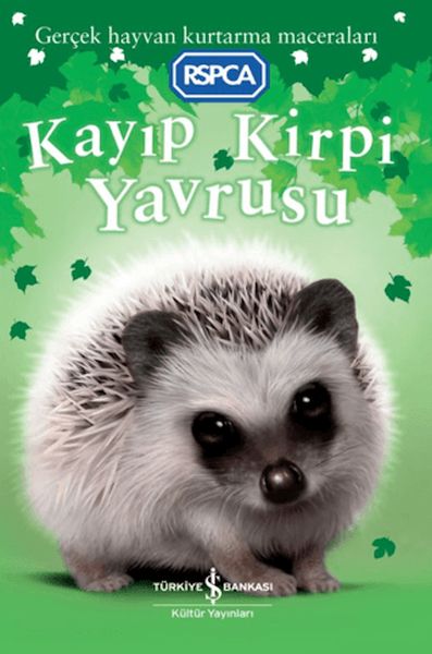 Kayıp Kirpi Yavrusu-zoom-