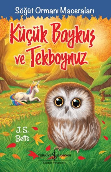 Küçük Baykuş ve Tekboynuz - Söğüt Ormanı Maceraları-zoom-