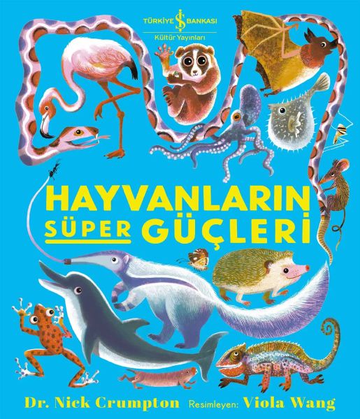 Hayvanların Süper Güçleri-zoom-