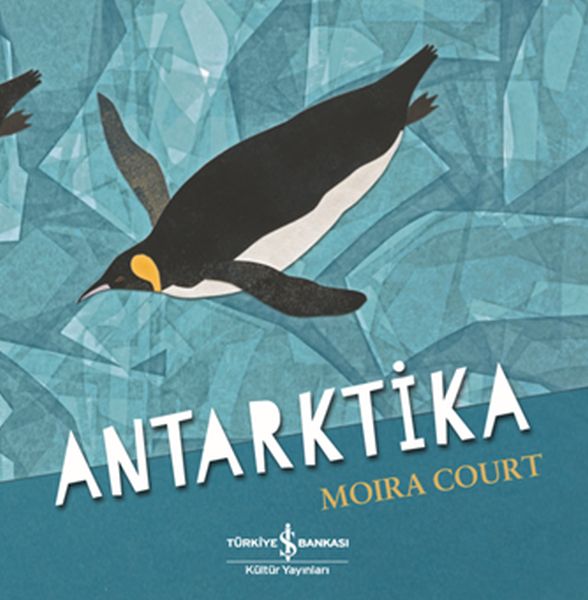 Antarktika-zoom-