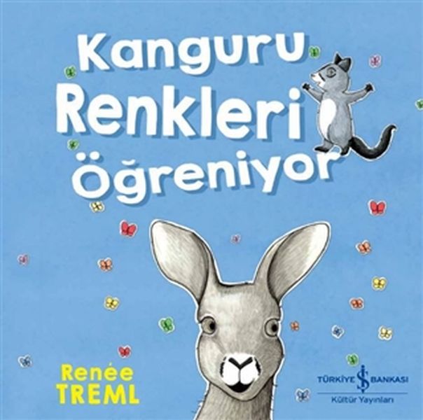 Kanguru Renkleri Öğreniyor-zoom-
