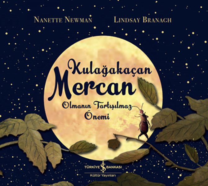 Kulağakaçan Mercan Olmanın Tartışılmaz Önemi-zoom-