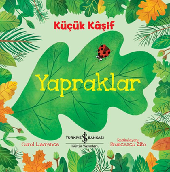Küçük Kaşif - Yapraklar-zoom-
