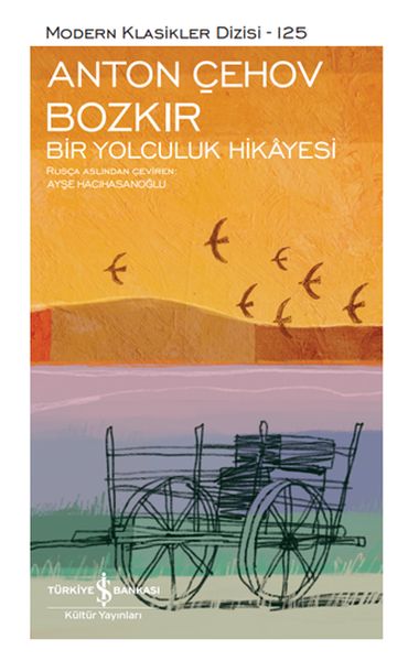 Bozkır Bir Yolculuk Hikayesi - Modern Klasikler Dizisi (Şömizli)-zoom-