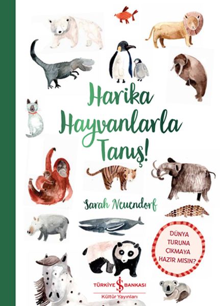 Harika Hayvanlarla Tanış!-zoom-