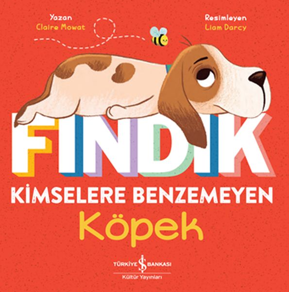Fındık Kimselere Benzemeyen Köpek-zoom-