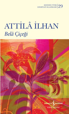 Bela Çiçeği