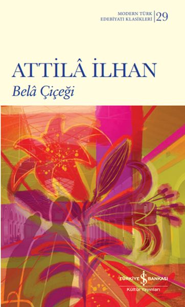 Bela Çiçeği-zoom-