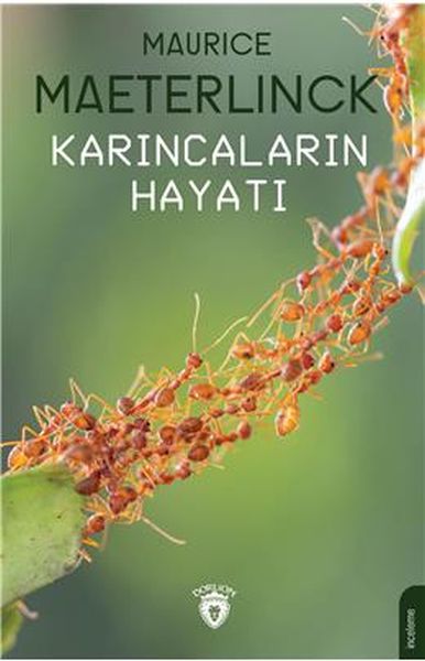 Karıncaların Hayatı-zoom-